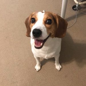 Meet your Posher, Sina